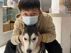 -Husky Go!哈士奇体验馆·宠物咖啡厅狗咖