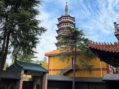-高旻寺