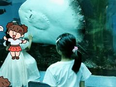 -乐从天佑城海洋馆