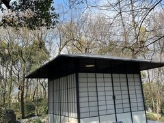 -龙井壹号·茶缘山景宴(龙井村店)
