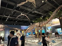 -国家自然博物馆