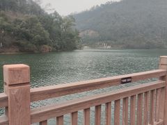 -桃花岭景区