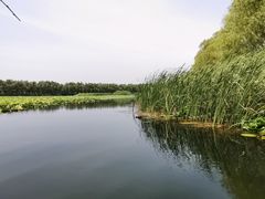 -白洋淀景区