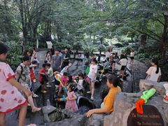 -成都市活水公园