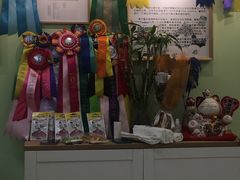 -猫十亿·布偶金渐层·曼基康矮脚猫舍(青年路店)