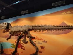 -北京科学中心儿童乐园