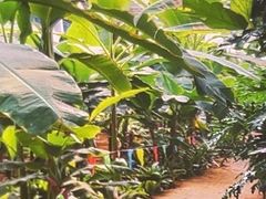 -北戴河集发农业梦想王国
