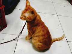 -老丘丘(较场口店)