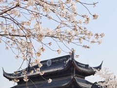 -苏州上方山国家森林公园