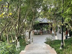 -龙头寺公园