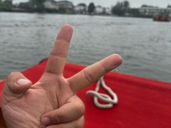 -白洋淀景区