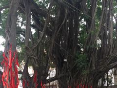 -烟桥古村