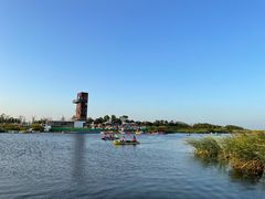 -春花秋色城市公园