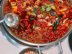 -味之绝热血美蛙鱼火锅(中坝店)