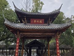 -东湖落雁景区