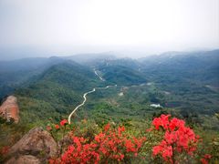 -十九峰景区-倒脱靴