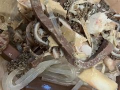 羊肉米线汤-武圣羊汤(回龙观店)