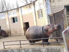 -合肥野生动物园