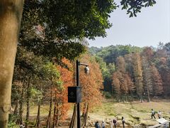-广州市白云山风景名胜区