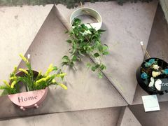 -鱼羊宴烤鱼羊蝎子烧烤(怡馨家园店)