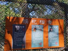 -南湾猴岛+椰田古寨一日游