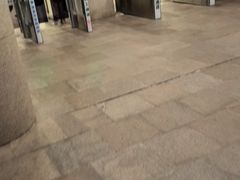 -上海交通大学医学院附属瑞金医院(总院)