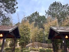 -崇阳三特浪口温泉