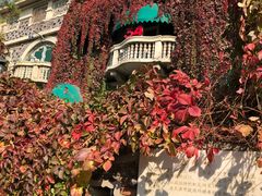 -成桂西餐厅·42年的味道(五大道疙瘩楼店)