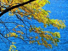 -叠溪松坪沟景区