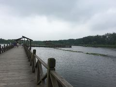 -溱湖国家湿地公园