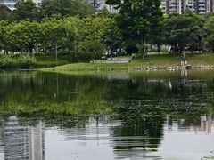 -四海公园(南山区)