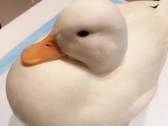 -RU DUCK柯尔鸭公社·撸鸭俱乐部·羊驼·小香猪