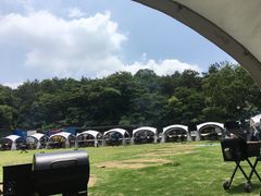 -龙寺生态园