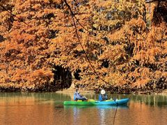 -上海海湾国家森林公园