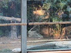 -清迈夜间动物园