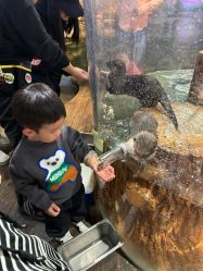 -Zoolung Zoolung动物主题公园(海信广场店)