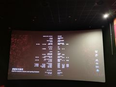 -金逸影城(武汉人信汇IMAX店)