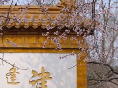 -桃花堤公园