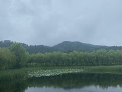 -黄陂区野村谷景区