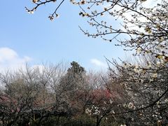 -杭州植物园