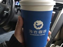 -海岩咖啡(南中环国金店)