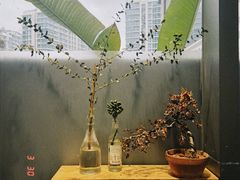 -麦当劳(花园城中心店)