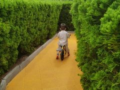 -郑州植物园