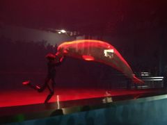 -芜湖新华联大白鲸海洋公园