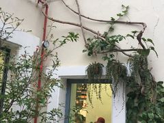-深圳东部华侨城瀑布酒店