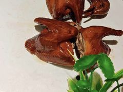 -大鸽饭(马王堆店)