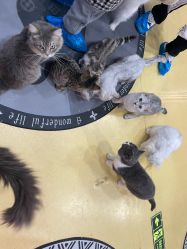 -开心哈乐儿童主题乐园(孙河易事达店)