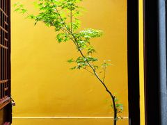 -西园戒幢律寺