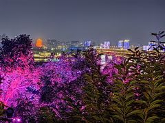 -古琴台