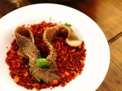 -小杨翘脚牛肉